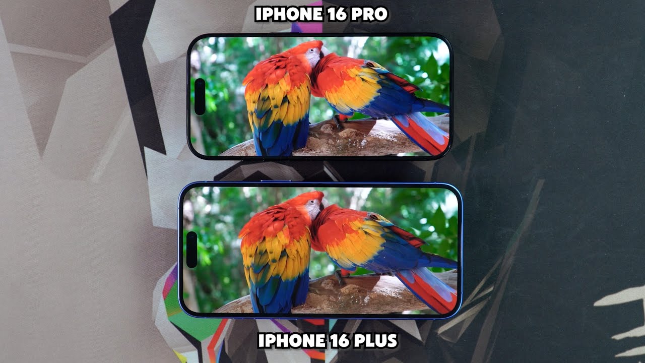 iPhone 16 Pro vs iPhone 16 Plus | Speedtest & Camera Comparison