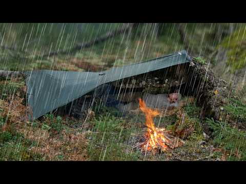 Heavy Rain Camping Taking Shelter Under A Fallen Tree For Survival