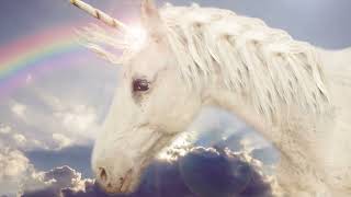 "Dreamland Adventures" A unicorns quest for a friend