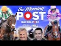 Ayr and newbury preview live  horse racing tips   the morning post