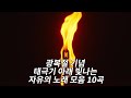 광복절 기념 태극기 아래 빛나는 자유의 노래 모음 10곡