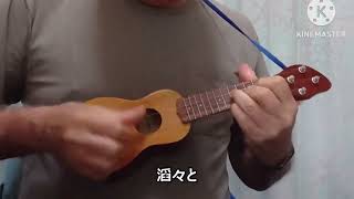 美しき天然ピッコロウクレレソロ
