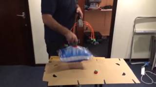 IMG 1854