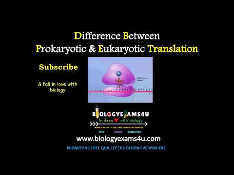 Video: Wat is die verskil tussen prokariotiese en eukariotiese vertaling?