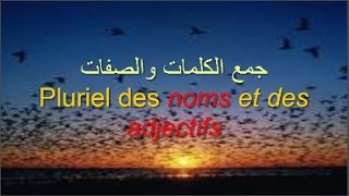 Pluriel des noms et des adjectifs  كيف تحصل على جمع كلمة أو صفة في الفرنسية ـ درس جامع مانع