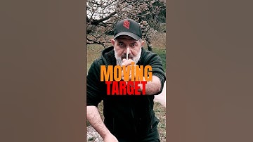 Slingshot: Hit Moving Target