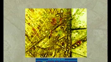 Real Time Enhanced Video - Edge Detection