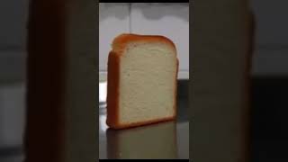 bread does'nt fall over(good ending)#shorts