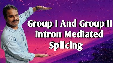 Group I and Group II intron Mediated splicing mechanism.
