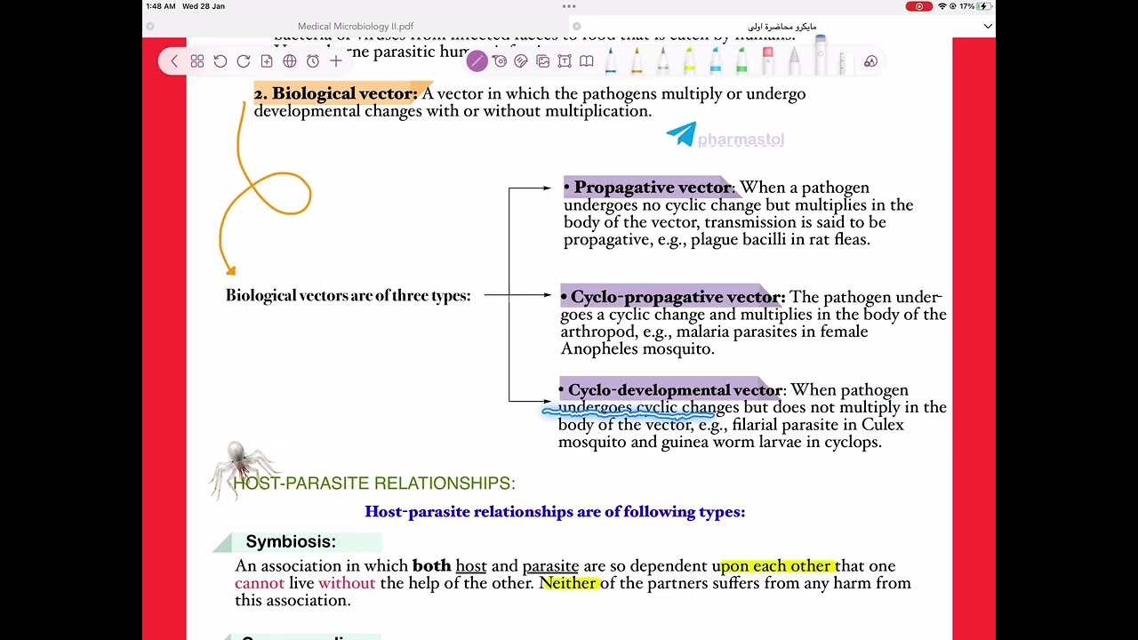 مايكرو وزاري محاضرة 2