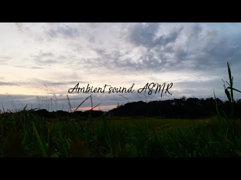 ありふれた景色の環境音 | 3時間 ambient sound |  ASMR | 睡眠