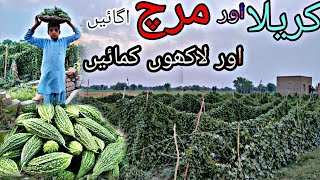 How to Earn Lacs With Vegetables Farming in Pakistan And India