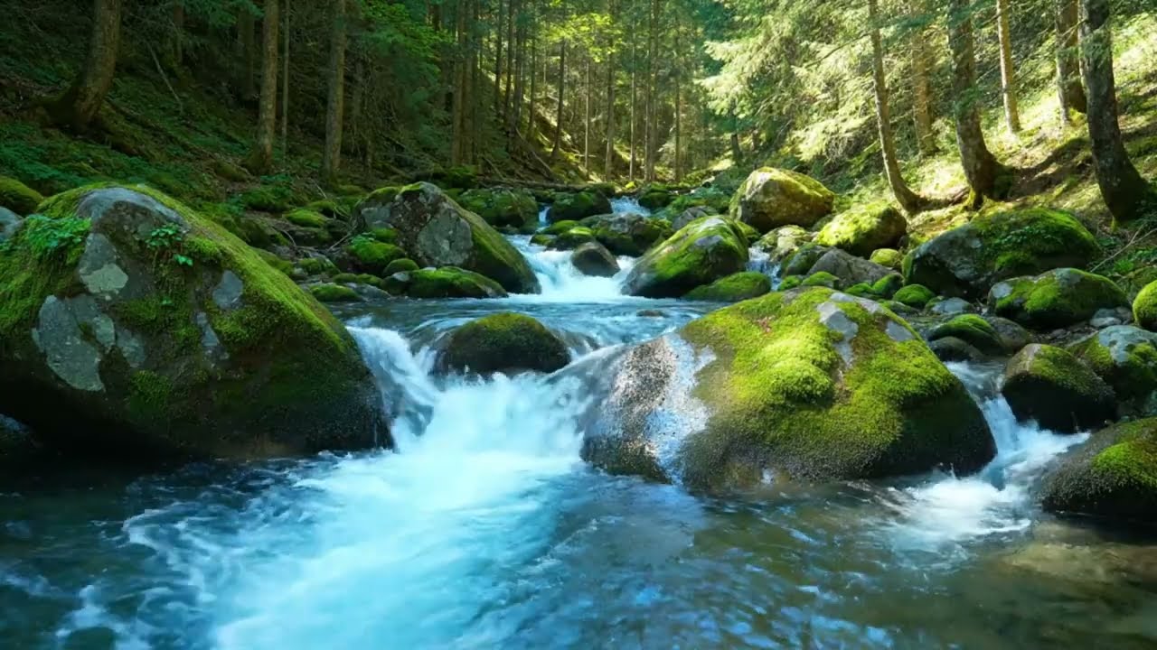 Peaceful Forest River Sounds 🌿 Flowing Water for Deep Sleep, Relaxation & Meditation