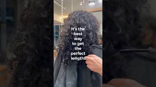 Curly bob drycutting haircut tutorial. SUBSCRIBE FOR MORE! 🔥 #curly #drycutting