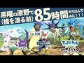 黒曜の原野（橋を渡る前）で"85時間"やり込んだのでそろそろ橋を渡ろうと思います！！｜Pokémon LEGENDS アルセウス