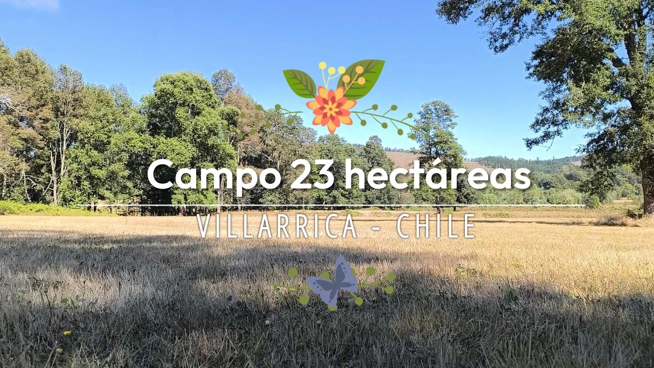 Campo 23 Hectáreas Villarrica