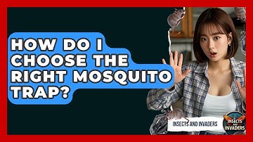 How Do I Choose The Right Mosquito Trap? - Insects and Invaders