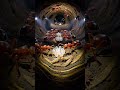 Fire Ant POV: Real Micro Camera Journey Inside a Living Colony