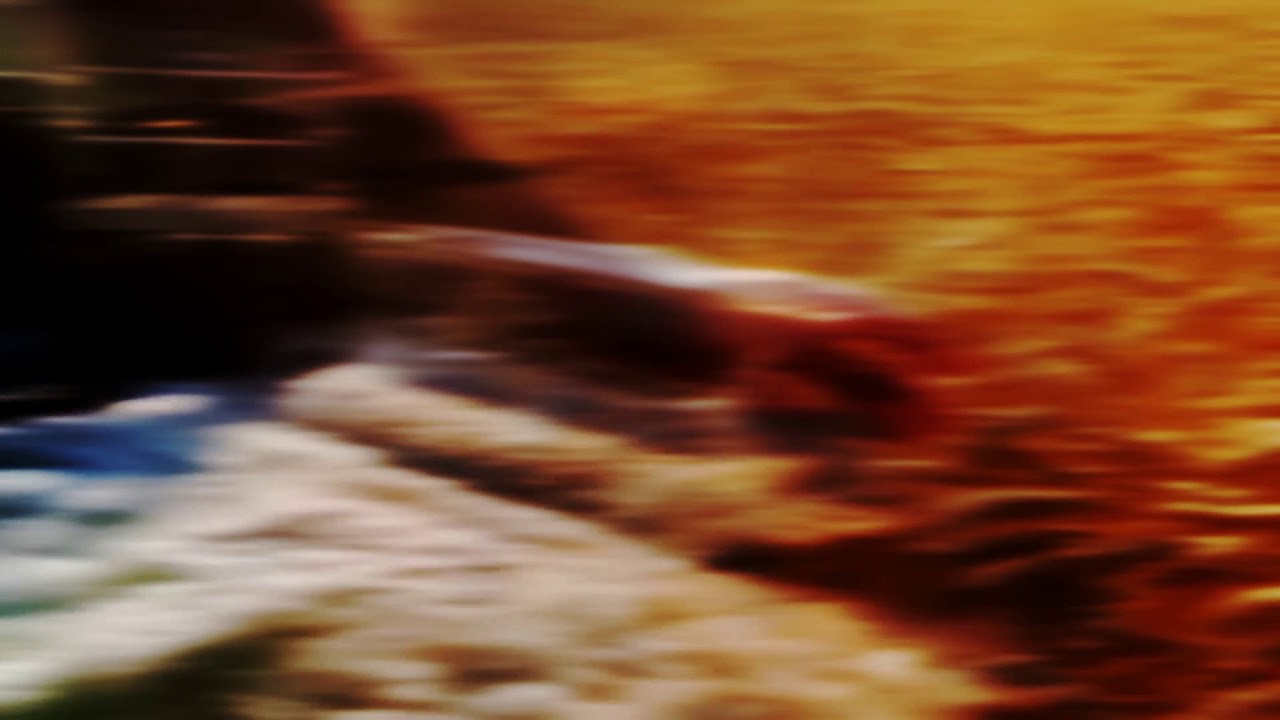 Blessed and blushing - Crying in front of my pet (Visualizer)