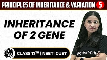 Principles of Inheritance & Variation 05 | Inheritance of 2 Gene | Pure English | 12th / NEET/CUET