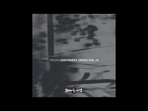 Twuan - Neverlution