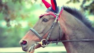 Upendo - 23 Settembre 2012