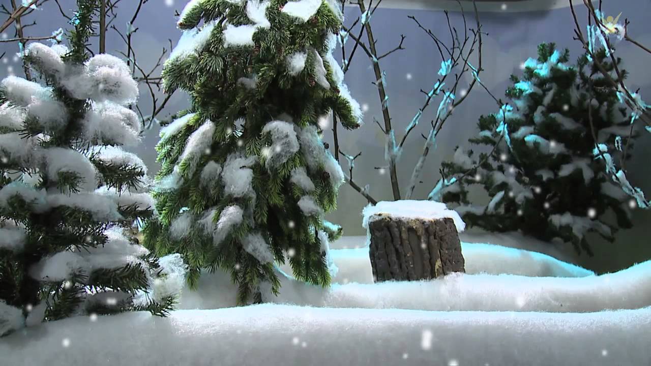 Делу — время, потехе — час | Лесные истории (42) - YouTube