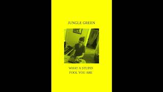 Video thumbnail of "Jungle Green - Why Do You Treat Me Like You Do? (May 2018)"