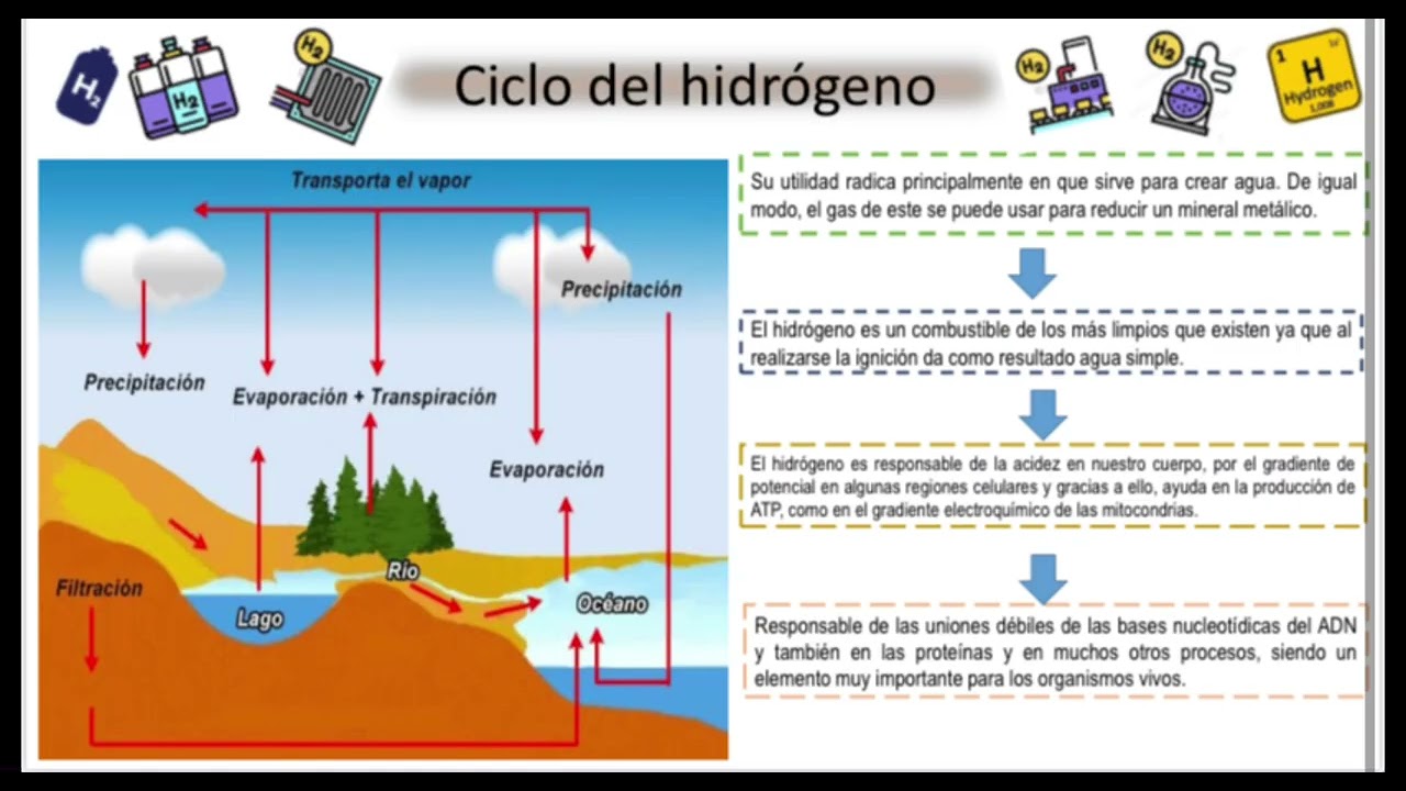 Ciclo hidrológico y ciclo del hidrógeno - YouTube