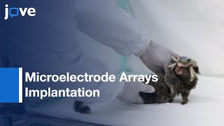 Microelectrode Arrays Implantation by Surgery | Protocol Preview Profile