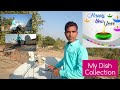 My Dish Collection &amp; Happy New Year
