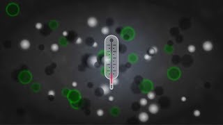 What Is Temperature?