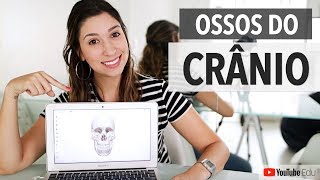 Ossos do crânio: Sistema Esquelético 3/5 | Anatomia etc