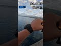 シーバスにコバンザメがついてきた #Shorts