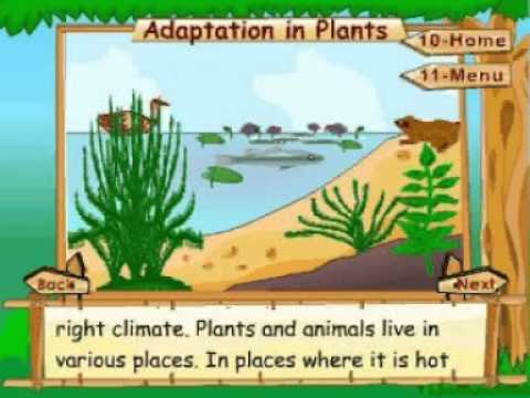 learn science class 4
