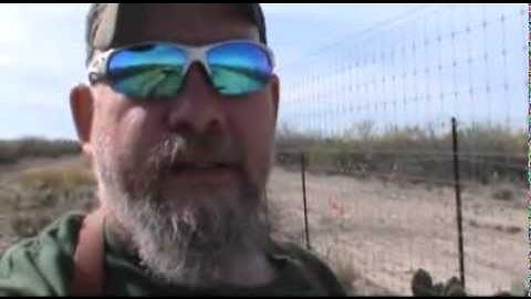 how to catch coyotes bobcats in bodygrip trap