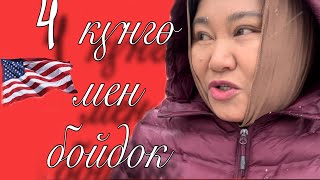 видео: Vlog #8. Иммиграционкага чакырык. Бороон. Жаман коментарийге жооп😤😤 картинка: Vlog #8. Иммиграционкага чакырык. Бороон. Жаман коментарийге жооп😤😤