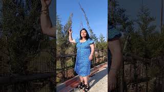 Budağlar Kömürdendi̇r