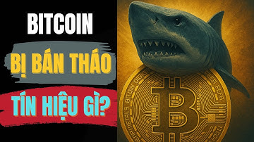 Cá mập ồ ạt rời bỏ Bitcoin: Tín hiệu gì phía sau| BÍ MẬT TRIỆU ĐÔ