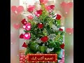اغنية الليلادي عيد ميلاد حبيبي غناء مصطفي كامل
