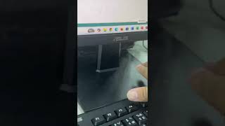 IMG 3203