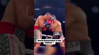 #boxing #knockout #viral #fypviral #shorts #fyp #benavidez