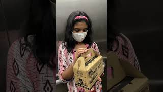 New Pet Hamster Jelly Bean