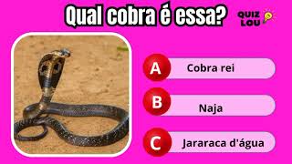 🐍Qual é a cobra? #quiz #cobra #teste #Adivinhe