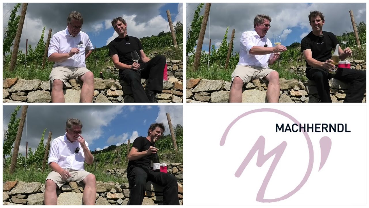 Folge 1371 What's Up? Weingut Erich Machherndl