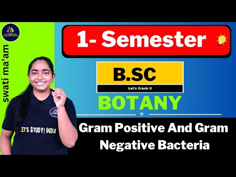 Gram Positive And Gram Negative Bacteria | B.Sc. Botany 1st Semester | Swati Ma'am |