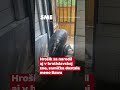 V zoo sa narodilo mláďa hrocha libérijského