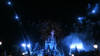 Special Fireworks At Walt Disneys Magic Kingdom - DVC 25 Year Anniversary Party!