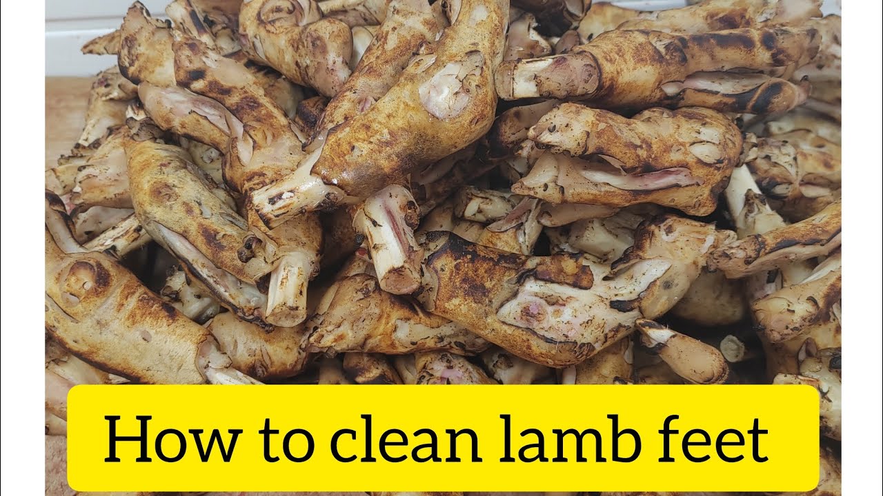 lamb feet full cleaning process YouTube