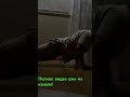 Паренек из окна, того дома напротив! #shortvideo #суши_роллы #shortsclip #youtube #music #роллы